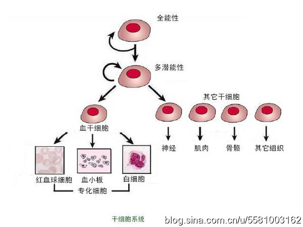 0065HjS2zy6SNgk5GOk30&690.jpg