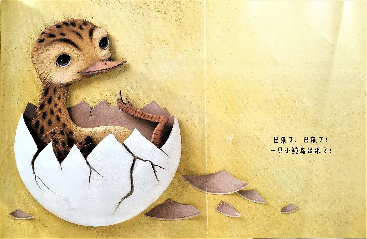 图片1.png